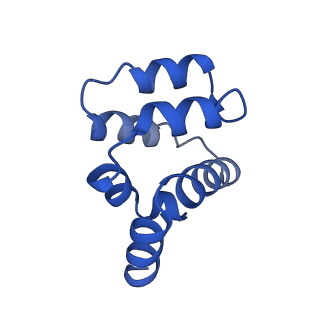 22220_6xkk_Q_v1-2
Cryo-EM structure of the NLRP1-CARD filament