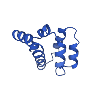 22220_6xkk_R_v1-1
Cryo-EM structure of the NLRP1-CARD filament