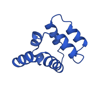 22220_6xkk_S_v1-1
Cryo-EM structure of the NLRP1-CARD filament