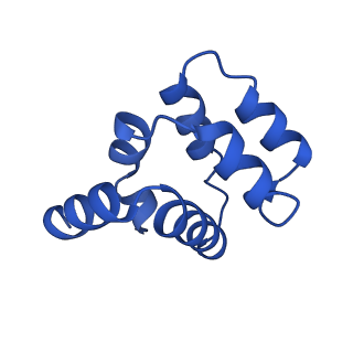 22220_6xkk_S_v1-2
Cryo-EM structure of the NLRP1-CARD filament