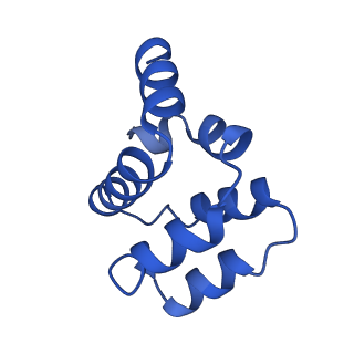 22220_6xkk_T_v1-1
Cryo-EM structure of the NLRP1-CARD filament