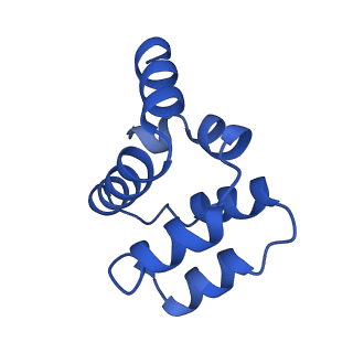 22220_6xkk_T_v1-2
Cryo-EM structure of the NLRP1-CARD filament