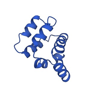 22220_6xkk_U_v1-2
Cryo-EM structure of the NLRP1-CARD filament