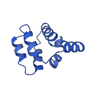 22220_6xkk_V_v1-2
Cryo-EM structure of the NLRP1-CARD filament