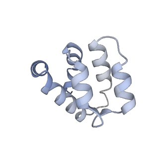 22220_6xkk_a_v1-1
Cryo-EM structure of the NLRP1-CARD filament