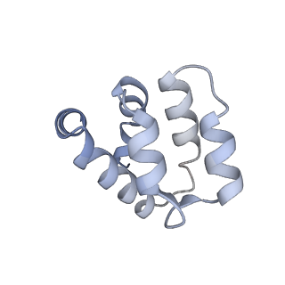 22220_6xkk_a_v1-2
Cryo-EM structure of the NLRP1-CARD filament