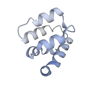 22220_6xkk_b_v1-1
Cryo-EM structure of the NLRP1-CARD filament