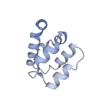22220_6xkk_c_v1-1
Cryo-EM structure of the NLRP1-CARD filament