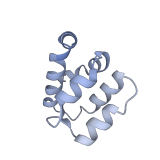 22220_6xkk_c_v1-2
Cryo-EM structure of the NLRP1-CARD filament