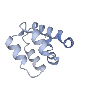 22220_6xkk_d_v1-1
Cryo-EM structure of the NLRP1-CARD filament