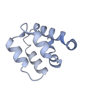 22220_6xkk_d_v1-2
Cryo-EM structure of the NLRP1-CARD filament