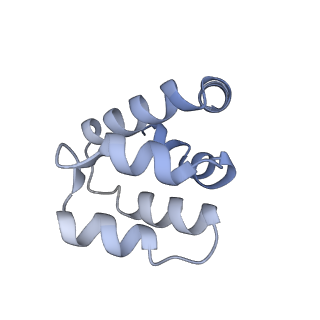 22220_6xkk_e_v1-1
Cryo-EM structure of the NLRP1-CARD filament