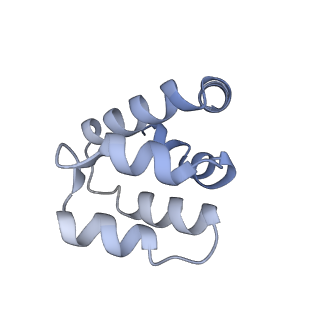 22220_6xkk_e_v1-2
Cryo-EM structure of the NLRP1-CARD filament