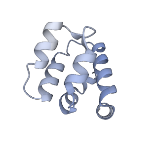 22220_6xkk_f_v1-1
Cryo-EM structure of the NLRP1-CARD filament