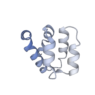 22220_6xkk_g_v1-1
Cryo-EM structure of the NLRP1-CARD filament