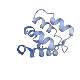 22220_6xkk_h_v1-1
Cryo-EM structure of the NLRP1-CARD filament