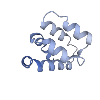 22220_6xkk_h_v1-2
Cryo-EM structure of the NLRP1-CARD filament