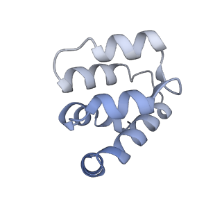 22220_6xkk_i_v1-2
Cryo-EM structure of the NLRP1-CARD filament