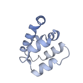 22220_6xkk_j_v1-1
Cryo-EM structure of the NLRP1-CARD filament