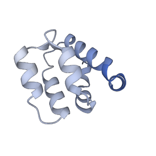 22220_6xkk_k_v1-2
Cryo-EM structure of the NLRP1-CARD filament