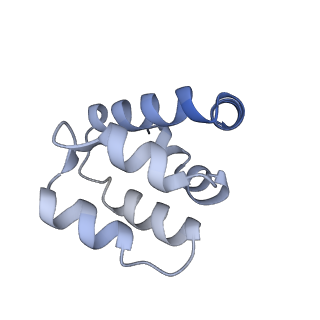 22220_6xkk_l_v1-1
Cryo-EM structure of the NLRP1-CARD filament