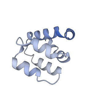 22220_6xkk_l_v1-2
Cryo-EM structure of the NLRP1-CARD filament