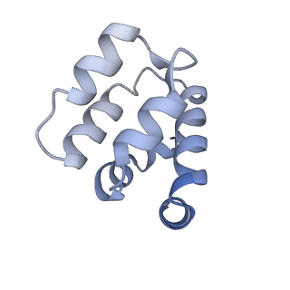 22220_6xkk_m_v1-1
Cryo-EM structure of the NLRP1-CARD filament