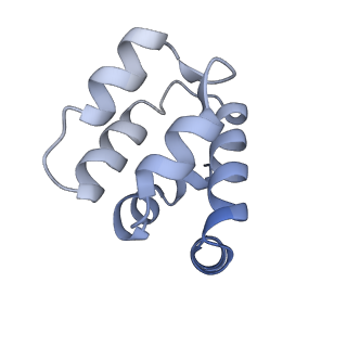 22220_6xkk_m_v1-2
Cryo-EM structure of the NLRP1-CARD filament