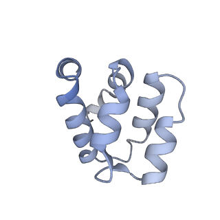 22220_6xkk_n_v1-1
Cryo-EM structure of the NLRP1-CARD filament