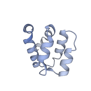 22220_6xkk_n_v1-2
Cryo-EM structure of the NLRP1-CARD filament