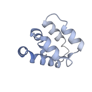 22220_6xkk_o_v1-2
Cryo-EM structure of the NLRP1-CARD filament