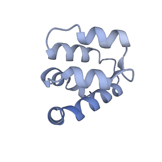 22220_6xkk_p_v1-1
Cryo-EM structure of the NLRP1-CARD filament