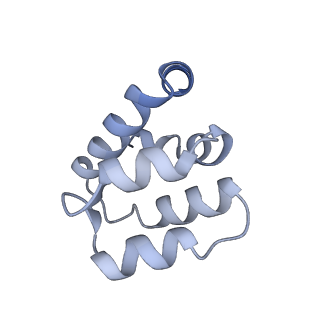 22220_6xkk_q_v1-1
Cryo-EM structure of the NLRP1-CARD filament