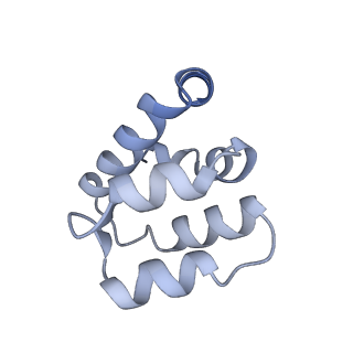 22220_6xkk_q_v1-2
Cryo-EM structure of the NLRP1-CARD filament