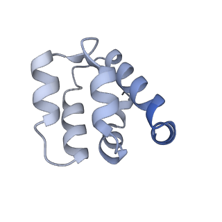 22220_6xkk_r_v1-1
Cryo-EM structure of the NLRP1-CARD filament