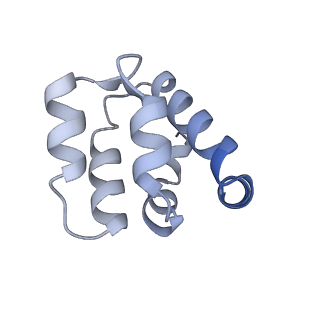 22220_6xkk_r_v1-2
Cryo-EM structure of the NLRP1-CARD filament