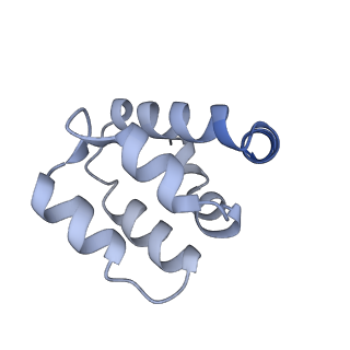 22220_6xkk_s_v1-1
Cryo-EM structure of the NLRP1-CARD filament