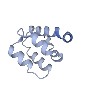 22220_6xkk_s_v1-2
Cryo-EM structure of the NLRP1-CARD filament