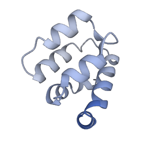 22220_6xkk_t_v1-1
Cryo-EM structure of the NLRP1-CARD filament