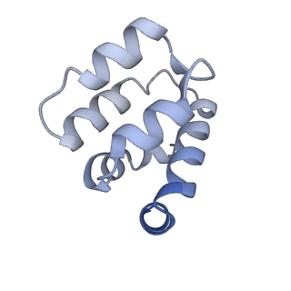 22220_6xkk_t_v1-2
Cryo-EM structure of the NLRP1-CARD filament