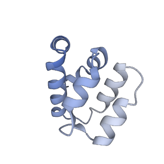 22220_6xkk_u_v1-1
Cryo-EM structure of the NLRP1-CARD filament
