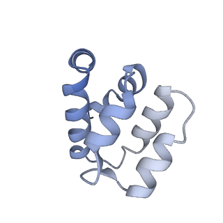 22220_6xkk_u_v1-2
Cryo-EM structure of the NLRP1-CARD filament