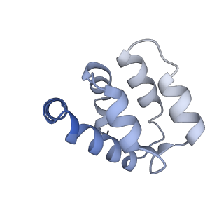 22220_6xkk_v_v1-2
Cryo-EM structure of the NLRP1-CARD filament