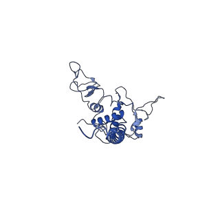22224_6xkt_D_v1-1
R. capsulatus cyt bc1 with both FeS proteins in c position (CIII2 c-c)