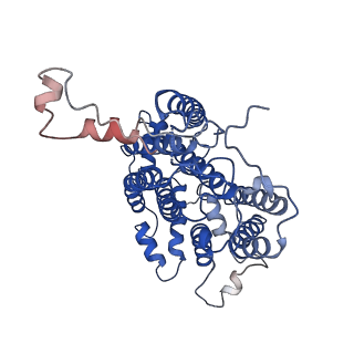 22224_6xkt_P_v1-1
R. capsulatus cyt bc1 with both FeS proteins in c position (CIII2 c-c)