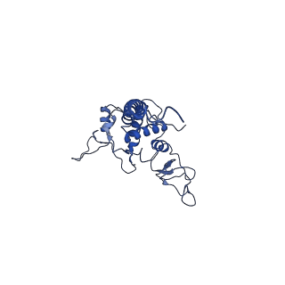 22224_6xkt_Q_v1-1
R. capsulatus cyt bc1 with both FeS proteins in c position (CIII2 c-c)