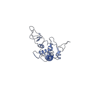 22225_6xku_D_v1-1
R. capsulatus cyt bc1 with one FeS protein in b position and one in c position (CIII2 b-c)