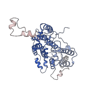 22225_6xku_P_v1-1
R. capsulatus cyt bc1 with one FeS protein in b position and one in c position (CIII2 b-c)