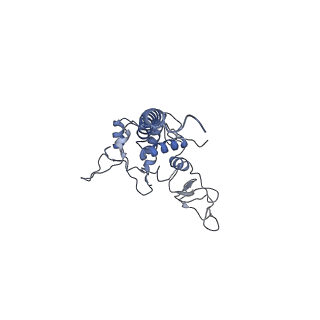 22225_6xku_Q_v1-1
R. capsulatus cyt bc1 with one FeS protein in b position and one in c position (CIII2 b-c)