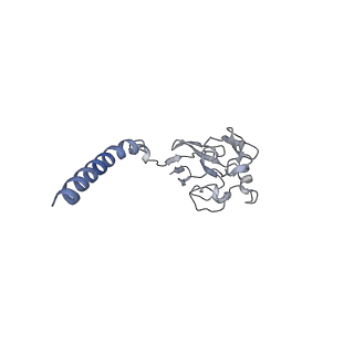 22225_6xku_R_v1-1
R. capsulatus cyt bc1 with one FeS protein in b position and one in c position (CIII2 b-c)